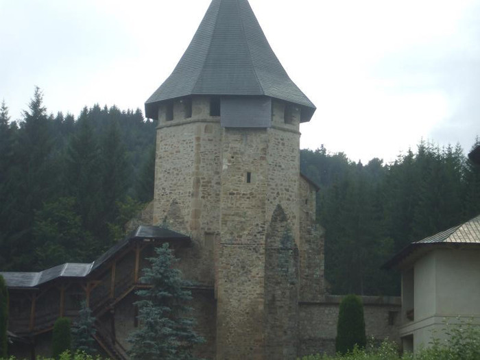 costy 053 - BUCOVINA