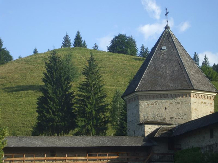 costy 072 - BUCOVINA