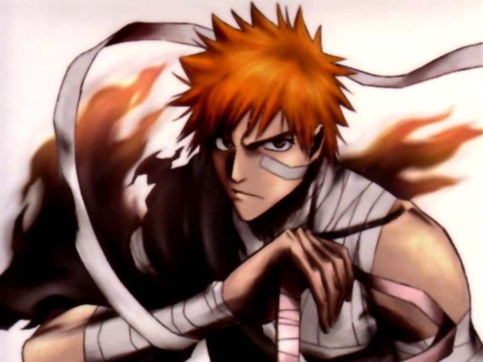 Ichigo Kurosaki 800-978307