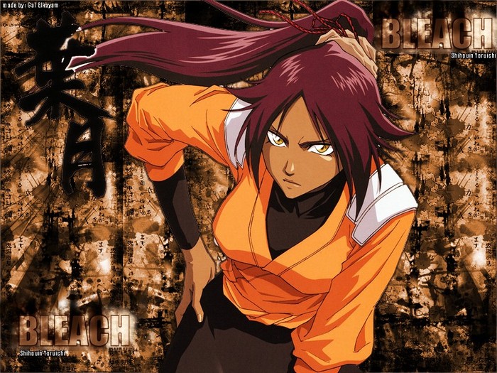 wallpaper-elkayam_yoruichi-2166360952 - Bleach