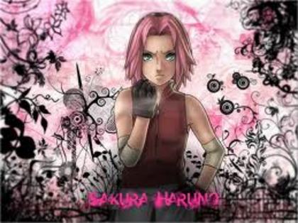 sakura 2