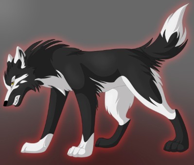 FanKusumiKusamaSiMizca