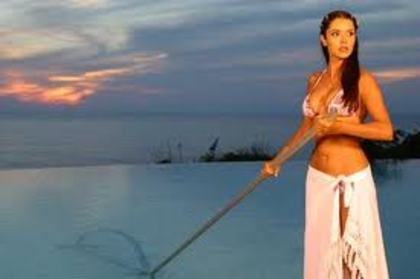 images (52) - Marlene Favela