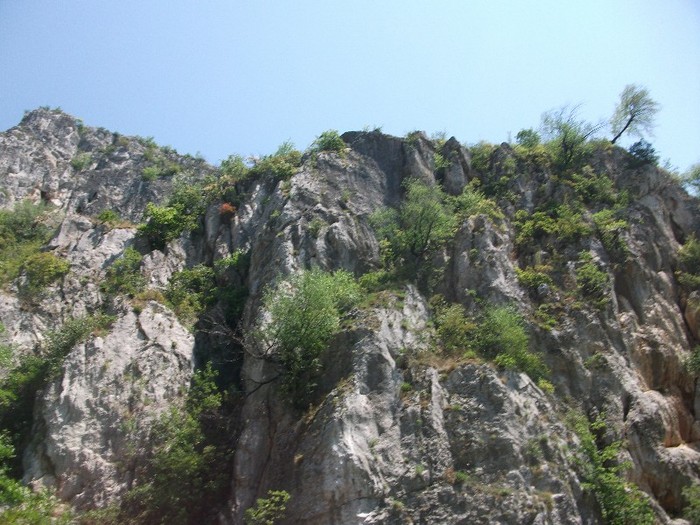 imaginile mele 2050 - la scaldat