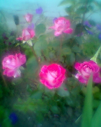 Fotogr.0078