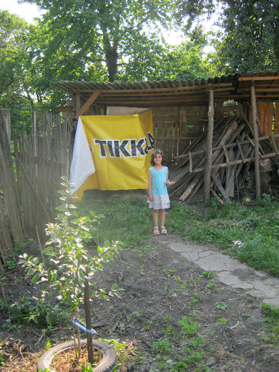 9 iulie 2011 008