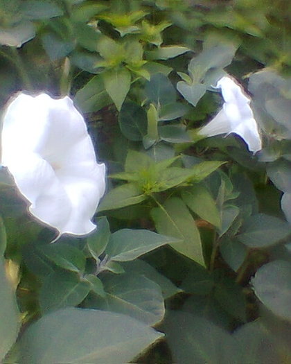 Fotogr.0106