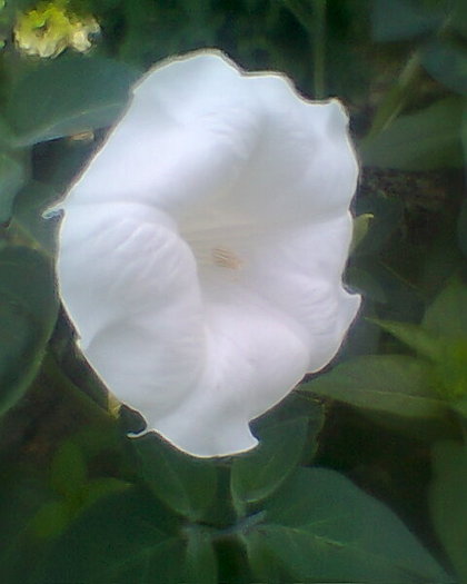 Fotogr.0107