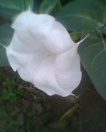 Fotogr.0113