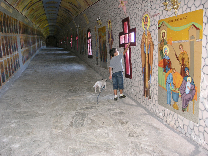 P7091443 - STRAJA-LUPENI