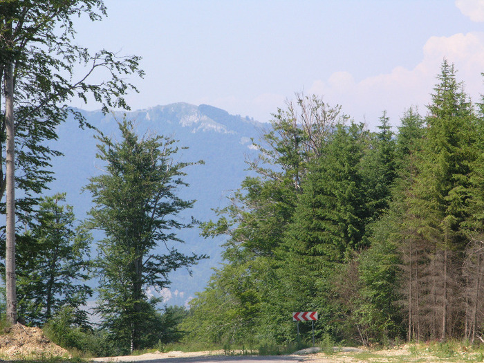 P7091498 - STRAJA-LUPENI