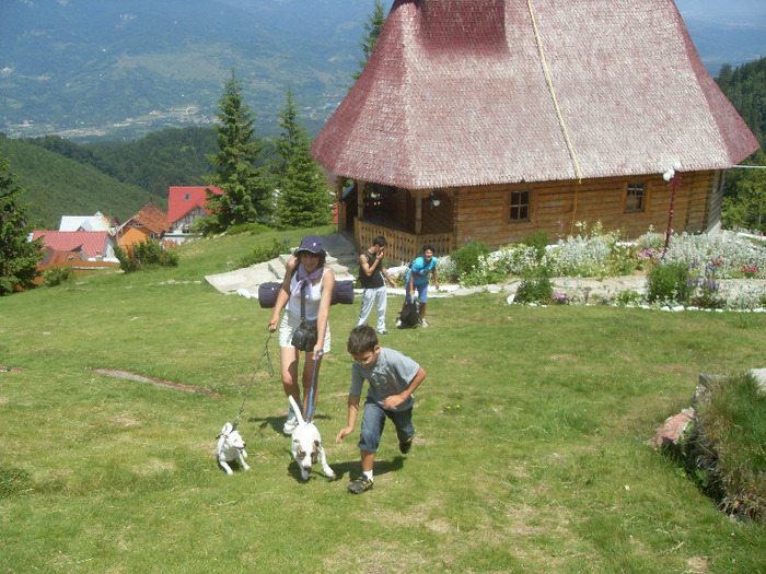 SDC19982 - STRAJA-LUPENI