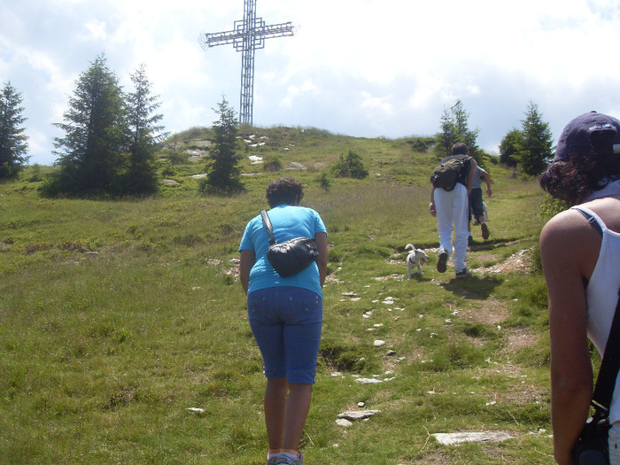 SDC19983 - STRAJA-LUPENI