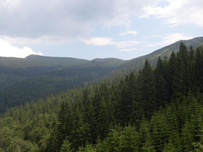 SDC19998 - STRAJA-LUPENI