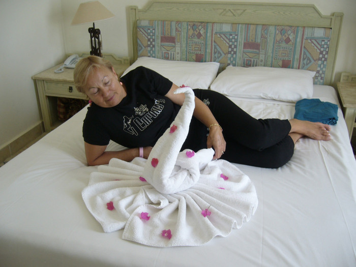 am adormit lingà lebàdà