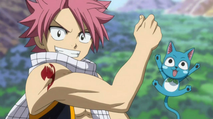 Natsu and Happy - Natsu