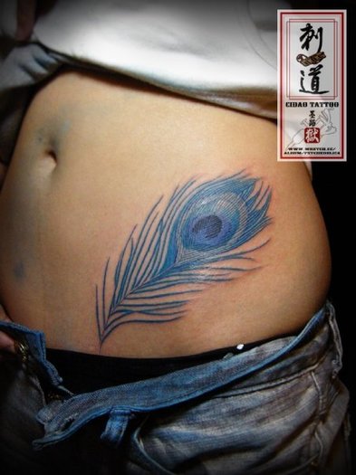 11654_1240346043556_1076430338_30748537_2257372_n