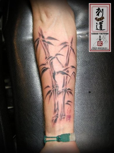 13849_1248596529813_1076430338_30769930_4709957_n - Tattoos