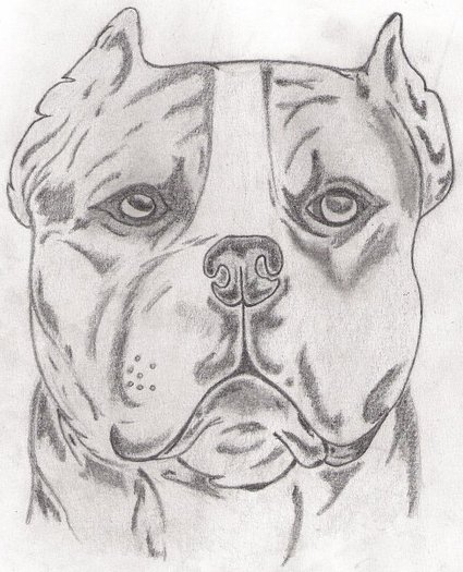 18144_1318723854005_1408038063_894521_2741830_n - Tattoos