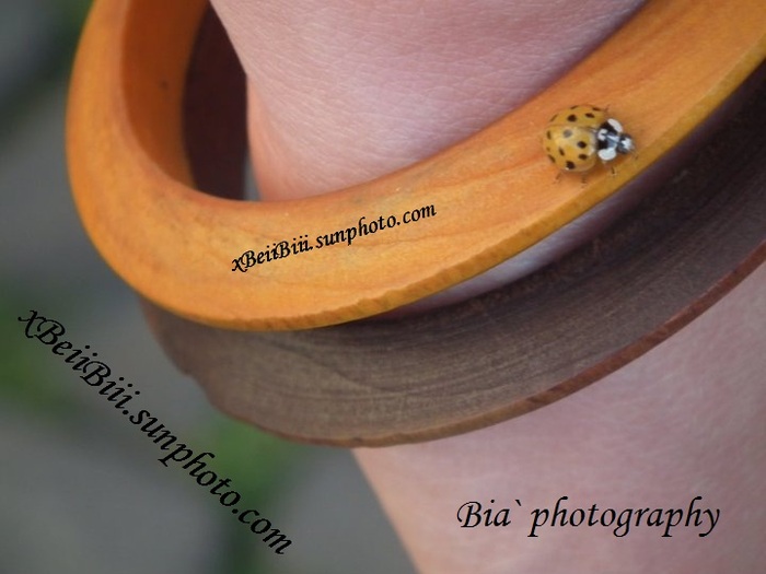 > :x < - x - Photo by me - Original - x