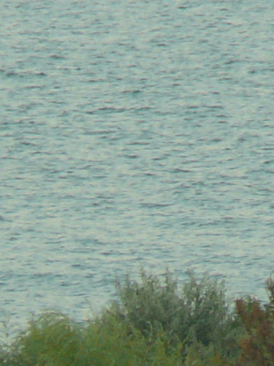 iulie 2011 020 - Marea vazuta de la fereastra mea