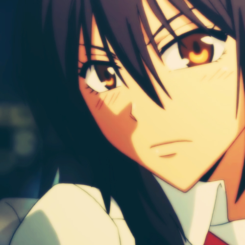 ayuzawa_misaki_icon_11_by_shobehikaru-d2zk5l2 - Misaki-chan