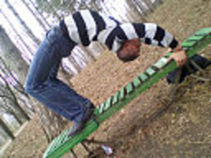 getImage