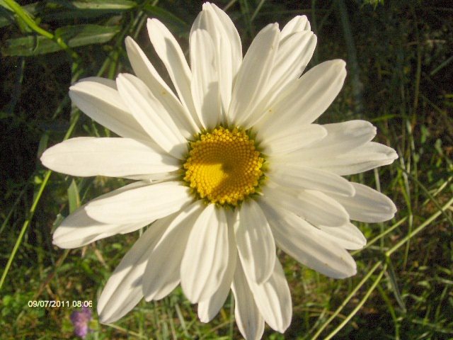 040