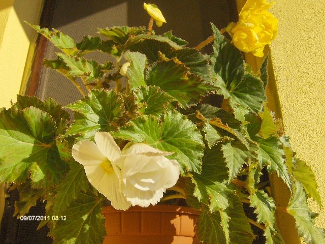 047 - 07_IULIE