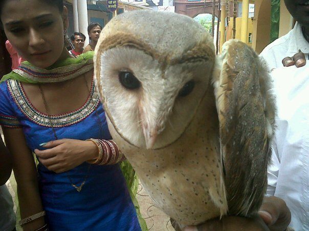 40672766_PDPPXOLZQ - xxSara Khan-Sadhnaxx