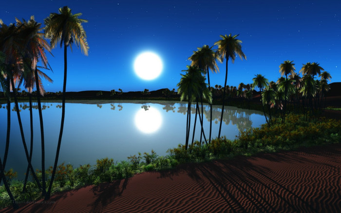 oasis-night - natura