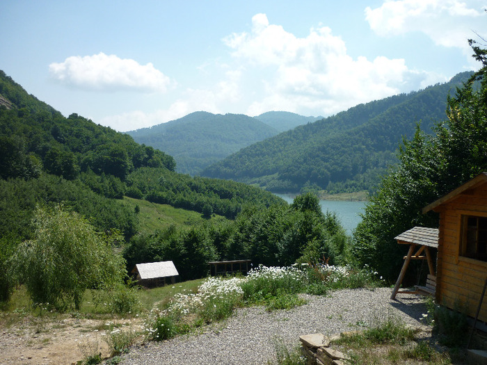 P1000038 - Valea Siriului Buzau