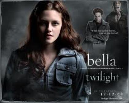 images (14) - twilight