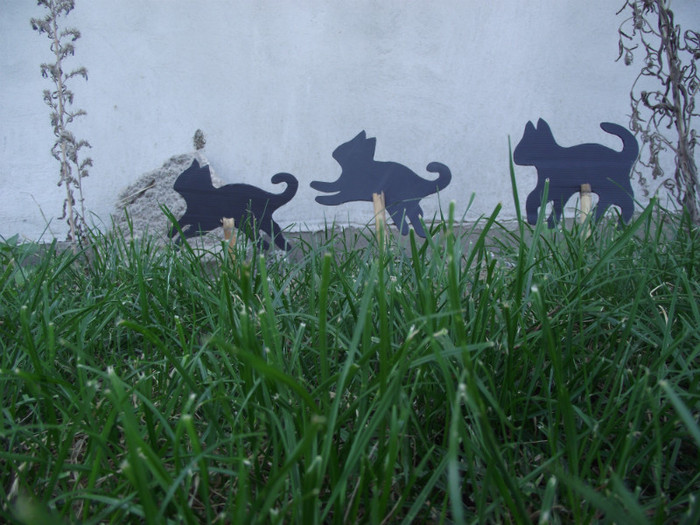 din plastic; vazut intr-o revista
