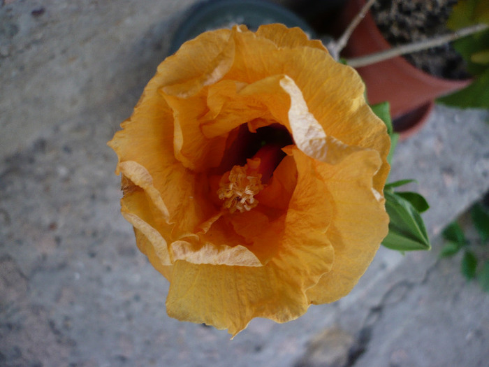 P1080616