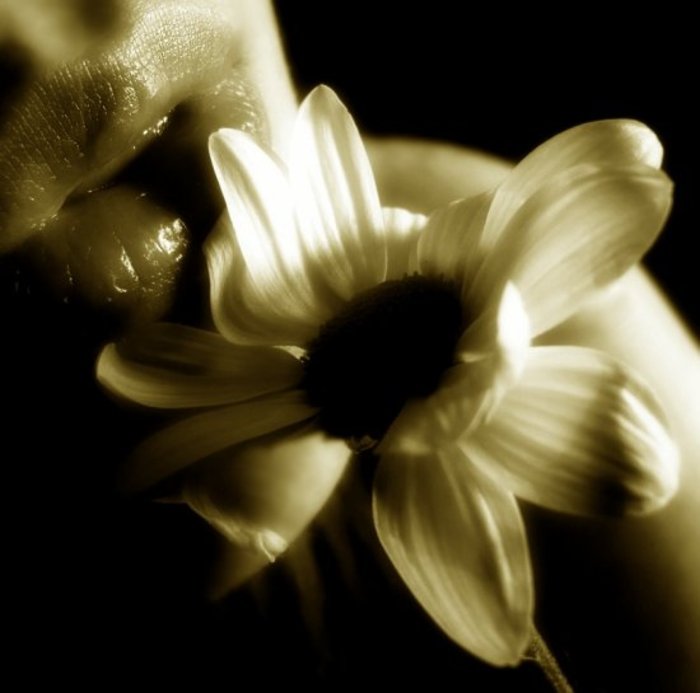 640ae319a4738df9985cf6eb52cc9f51