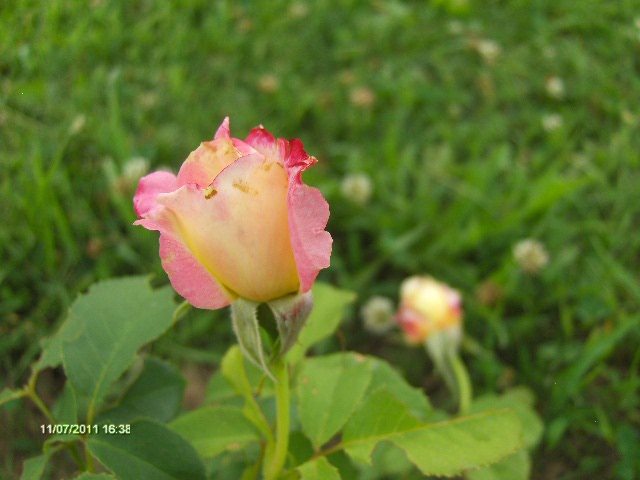 018
