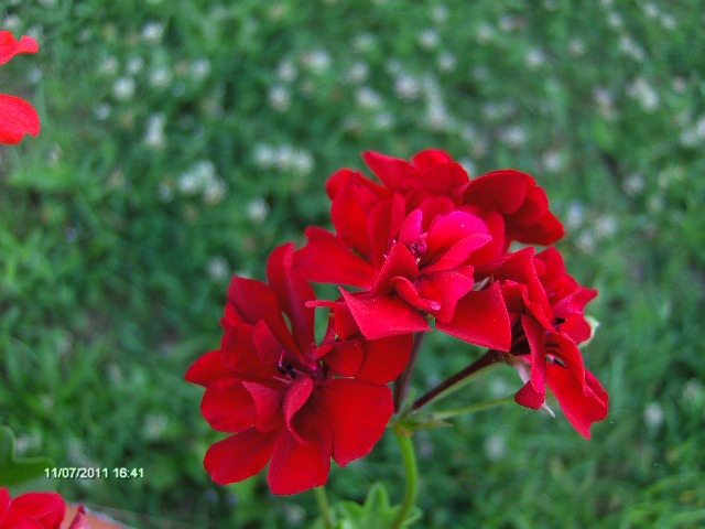 027 - 07_IULIE