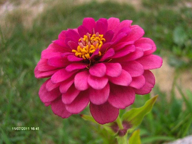 031 - 07_IULIE