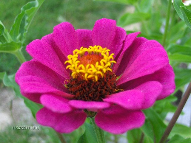 032 - 07_IULIE