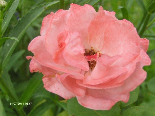 036 - 07_IULIE