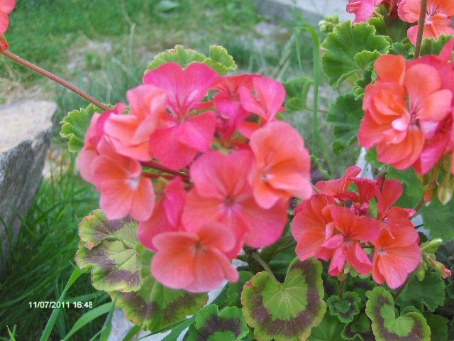 039 - 07_IULIE