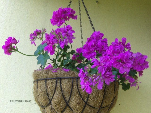 040 - 07_IULIE