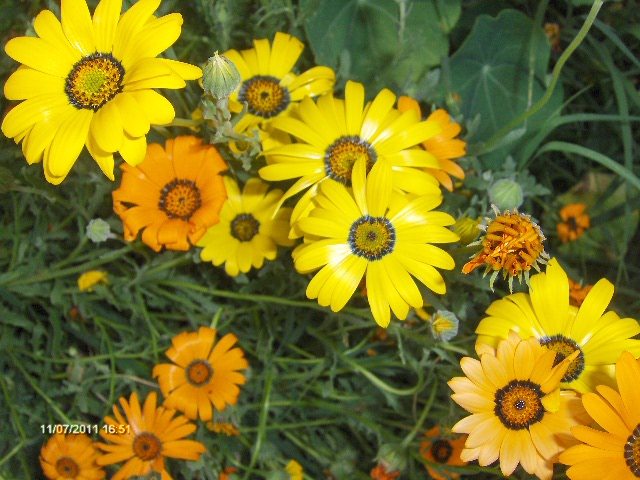 041 - 07_IULIE