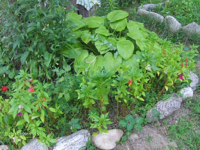 042 - 07_IULIE