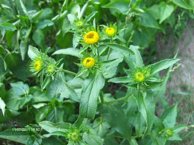 048 - 07_IULIE