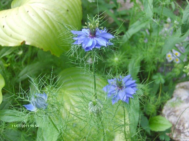 051 - 07_IULIE