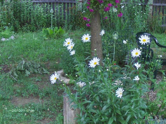 053 - 07_IULIE