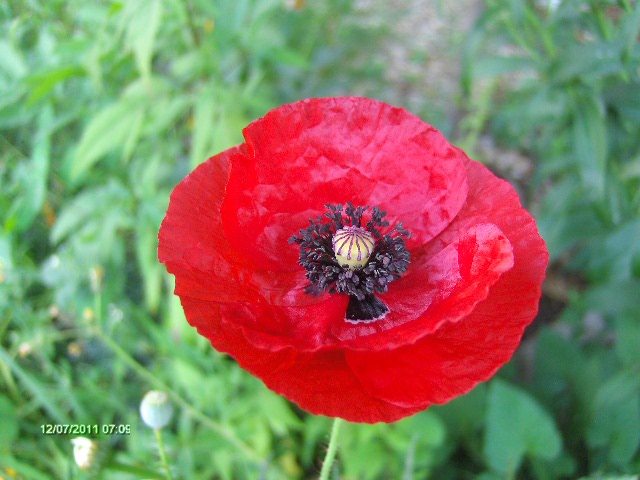055 - 07_IULIE
