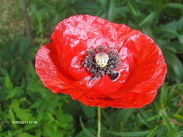 056 - 07_IULIE